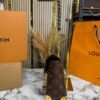 LOUIS VUITTON PETITE MELLE PREMIUM BAG WITH OG DOUBLE BOX AND CARRY BAG 😍☑️