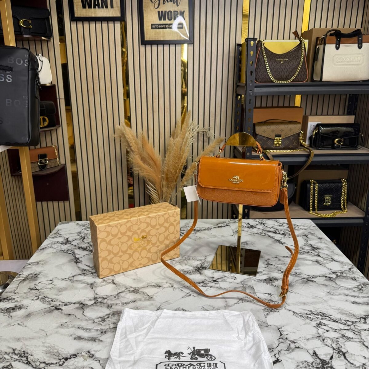COACH HAILEY PREMIUM BAG WITH ORIGNAL BOX PACKING
